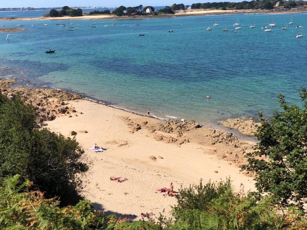 Appartement Vue Mer A 100M De La Plage Au Centre De Carantec Exterior photo